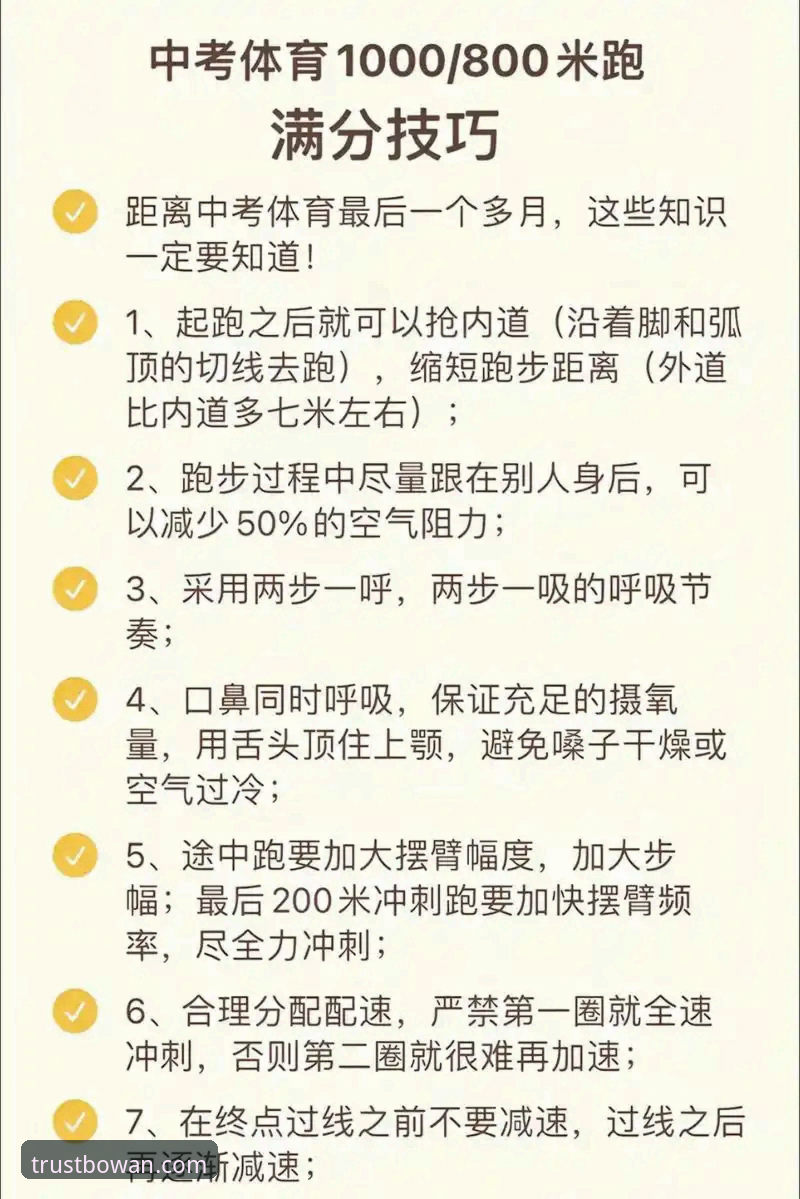 博万体育平台运动使用技巧深度分析：从入门到精通的实用指南